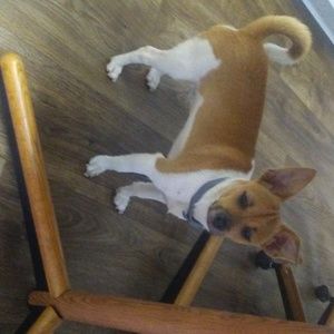 Meet your Posher, William